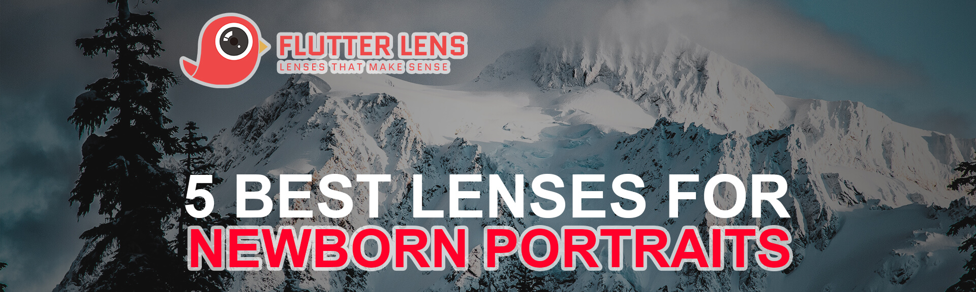 5 Best Lenses for Newborn Portraits