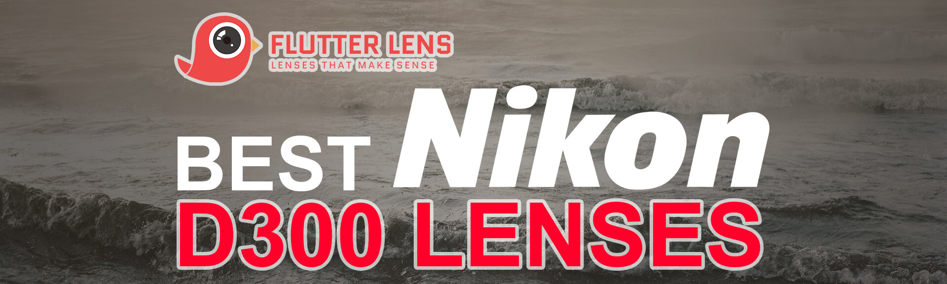 Best Nikon D300 Lenses