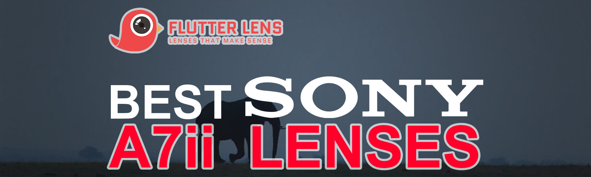 Best Sony A7ii Lenses
