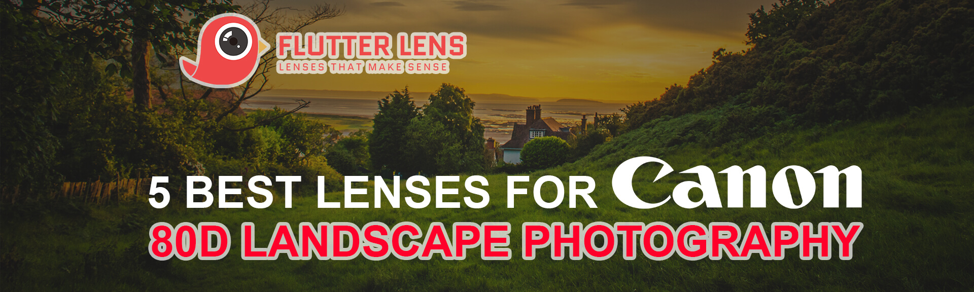 5 Best Lenses for Canon 80D Landscape Photography