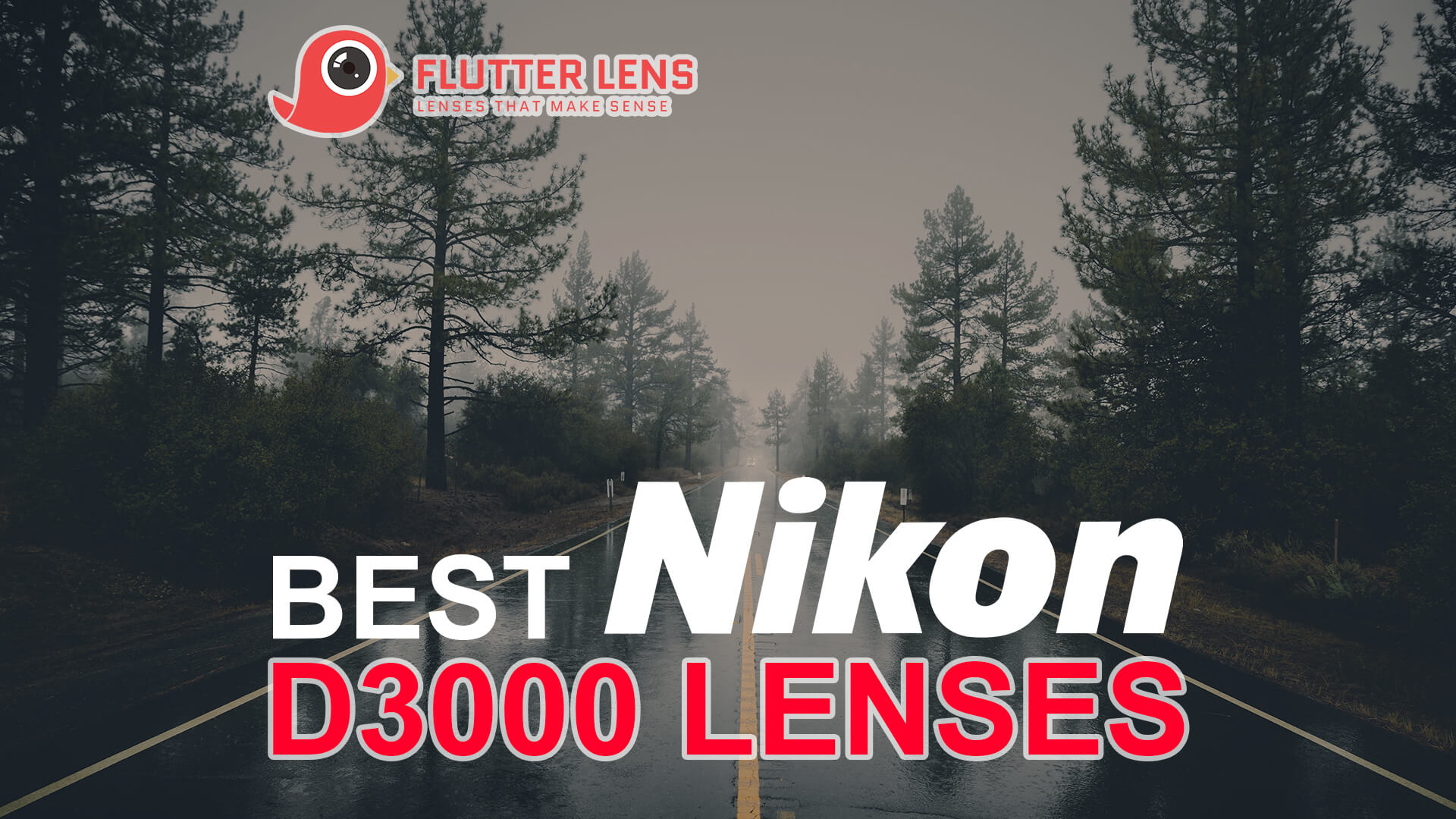 Best Lens for Nikon D3000