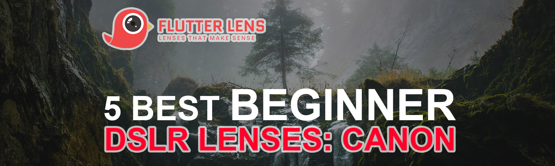 5 best beginner dslr lens canon
