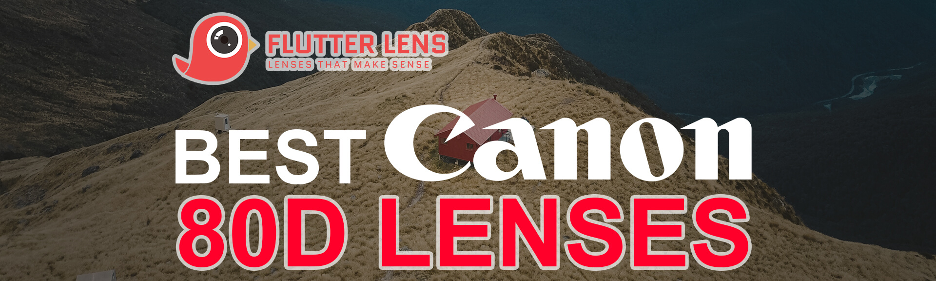 Best Canon 80D lenses