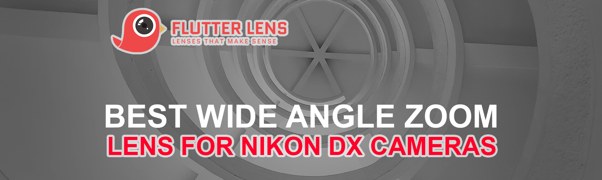 Best Wide Angle Zoom Lens for Nikon DX Cameras