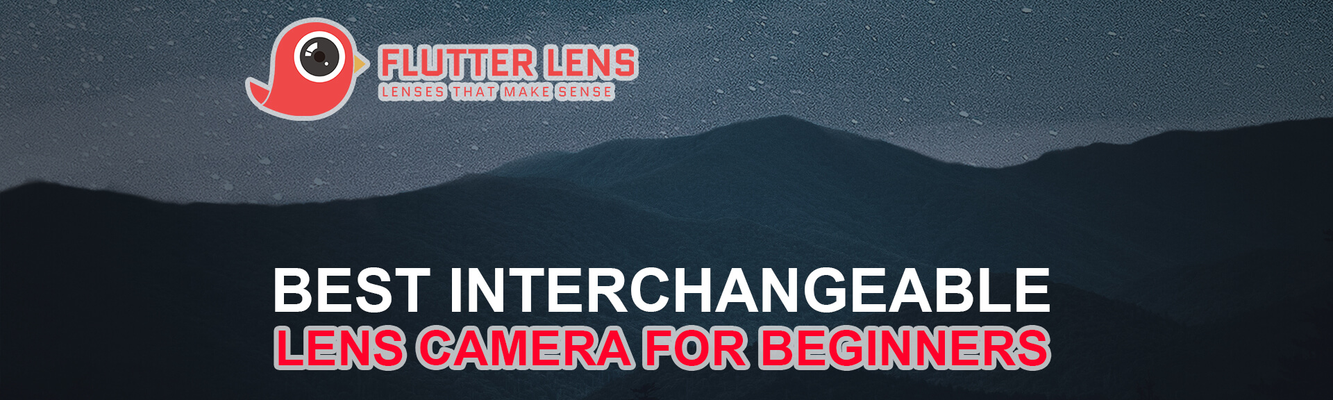 best interchangeable lens camera for beginners