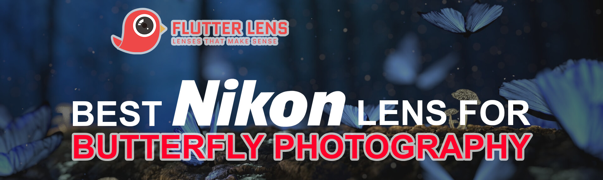 Top 5 Best Nikon Lenses for Butterfly Photography