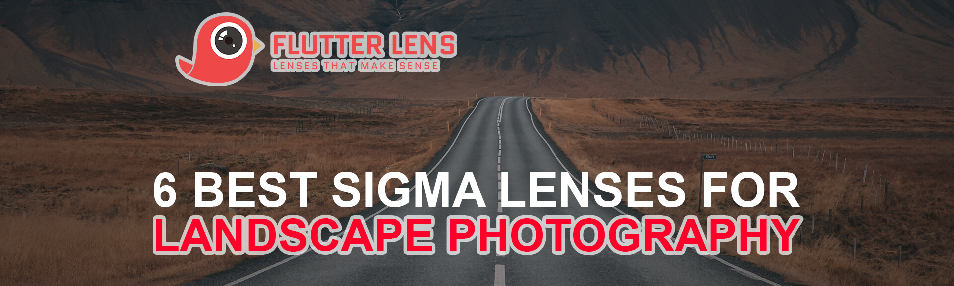 6 Best Sigma Lenses for Landscape Photography